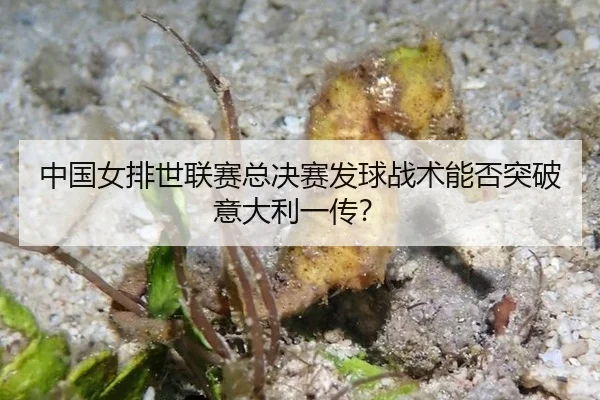 zhong-guo-nv-pai-shi-lian-sai-zong-jue-sai-fa-qiu-zhan-shu-neng-fou-tu-po-yi-da-li-yi-chuan-2-123.jpg